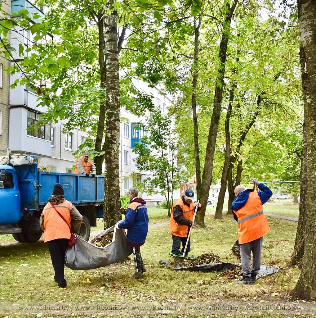 План по наведению порядка в Витебске почти выполнен, но работы ещё много План по наведению порядка в Витебске почти выполнен, но работы ещё много