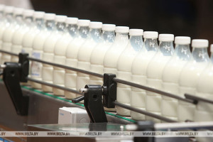 Беларусь скорректировала минимальные цены на молочную продукцию для некоторых стран
