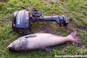 На Браславских озерах поймали метрового толстолобика весом больше 20 кг