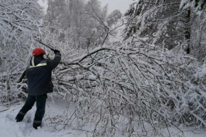 Последствия стихии: энергетики Витебской области восстанавливают электроснабжение в 113 населенных пунктах области