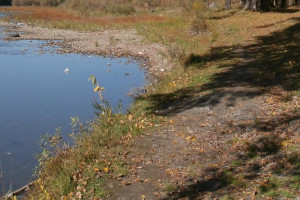 В Лепельском районе в искусственном водоеме утонул мужчина