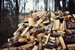 После вмешательства Комитета госконтроля Витебской области были решены проблемы граждан с обеспеченностью дровами