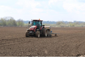 В 12 районах Витебской области работы по севу ранних яровых зерновых и зернобобовых культур завершены полностью