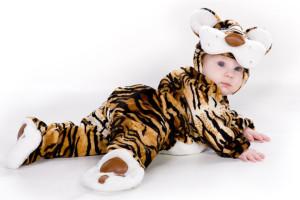 Vitbichi.by объявляют конкурс детских фотографий на «тигриную» тему «Полосатый рейс» 