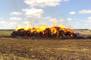 Двое школьников из Шарковщины сожгли 60 рулонов чужого сена
