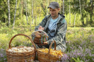 В 2023 году после употребления грибов пострадали 9 человек. В Витебской области отравились лесными дарами 3 человека