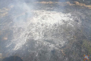 Дачник, решивший сжечь мусор на участке, погиб во время пожара в Шумилинском районе