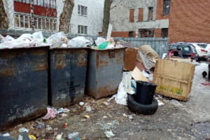 Витебчанка пожаловалась на переполненные мусорные контейнеры на улице Ильинского в Витебске