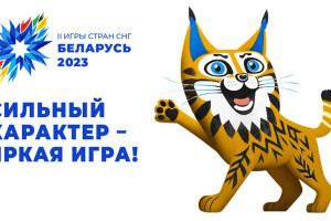 Ледовая арена в Орше на 80% готова к проведению II Игр стран СНГ