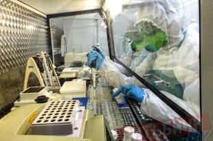 ПЦР-лаборатория начала работать в Витебской городской центральной поликлинике на улице Маргелова