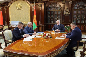 Лукашенко поддержал начинание Минлесхоза по продвижению собственных торговых площадок