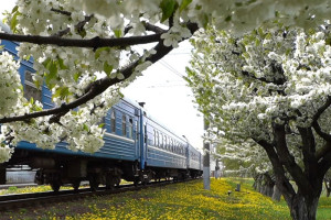 Более 100 дополнительных поездов назначила БЖД на период майских праздников
