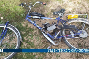 В Чашникском районе велосипедистка сбила лося. Женщину госпитализировали