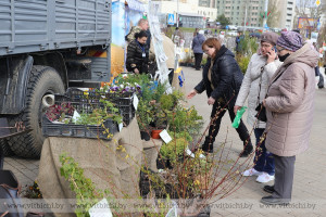 Первые весенние! Городские ярмарки состоятся в Витебске 9 апреля