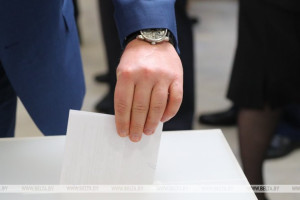 Карпенко напомнил процедуру голосования на референдуме