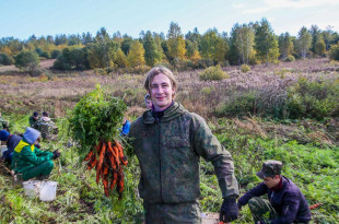 Учащиеся витебских колледжей помогают на уборке овощей на полях УП "Рудаково"