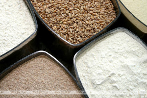 Правительство вводит ограничения на вывоз из Беларуси отдельных видов продовольственных товаров