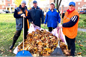На полигон твердых коммунальных отходов Спецавтобазы Витебска за две недели вывезли тысячу кубометров собранной листвы