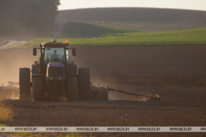 В Витебской области засеяли более половины площадей озимых зерновых
