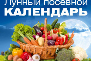 Посевной лунный календарь на неделю с 6 по 12 мая