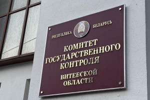 Лесная отрасль под контролем: КГК Витебской области взыскал в бюджет более 230 тысяч рублей задолженности за отпущенную древесину
