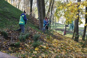 Месячник по озеленению, санитарной очистке и благоустройству Витебска продлили до 30 ноября