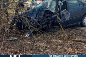 В Городокском районе в ДТП погиб водитель