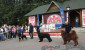 В Витебске пройдет республиканская выставка собак всех пород "Витебское лето-2022"