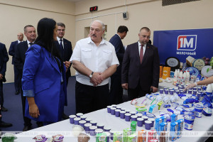 Александр Лукашенко поручил до конца года наладить в Беларуси производство упаковки для продуктов питания