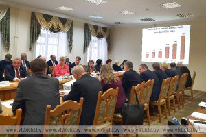 На заседании президиума облсовета депутатов в Витебске обсудили положение дел по уменьшению количества пустующих домов