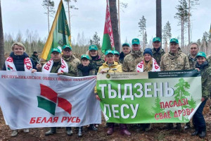 Активисты «Белой Руси» высадили саженцы сосен и берёз в Пятигорском лесничестве Бешенковичского района