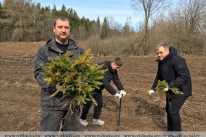 Молодые сотрудники Первомайского РОВД приняли участие в акции «Неделя леса»