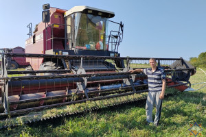 Узнали, почему спасатель Ушачского района в свой отпуск убирает урожай