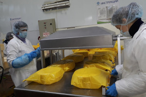 У Шумілінскім цэху ААТ «Малако» г. Віцебск сталі выпускаць новы гатунак сыру – «чэддэр»