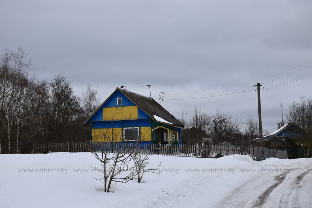 деревня витебский район