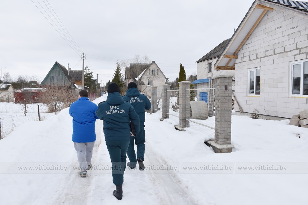 деревня витебский район