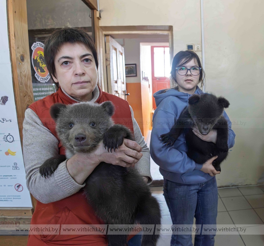Медвежата в витебском зоопарке с директором учреждения Ириной Орловой