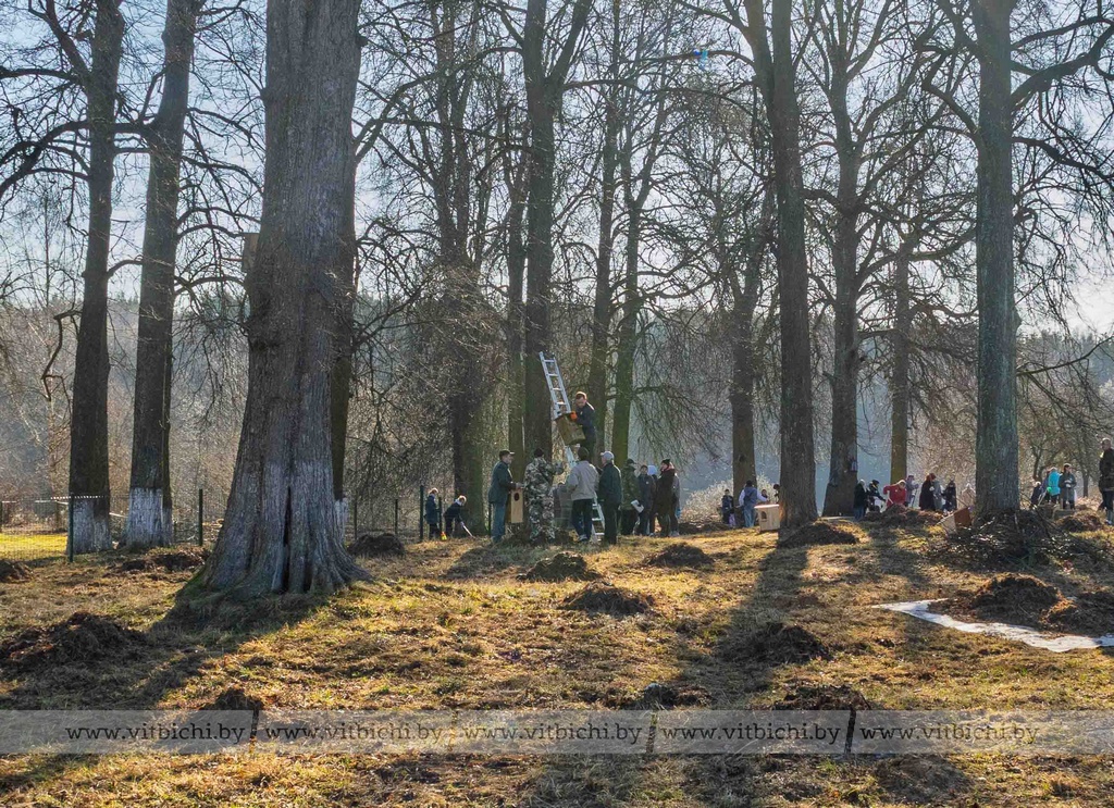 Субботник в Тирасполе. Витебск. 29 марта
