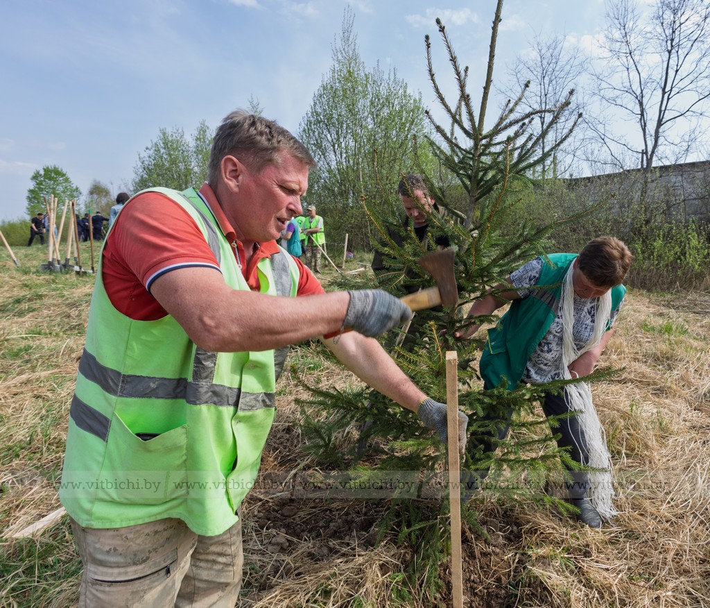 Возле Мемориального комплекса «5-й полк» заложили аллею Памяти 