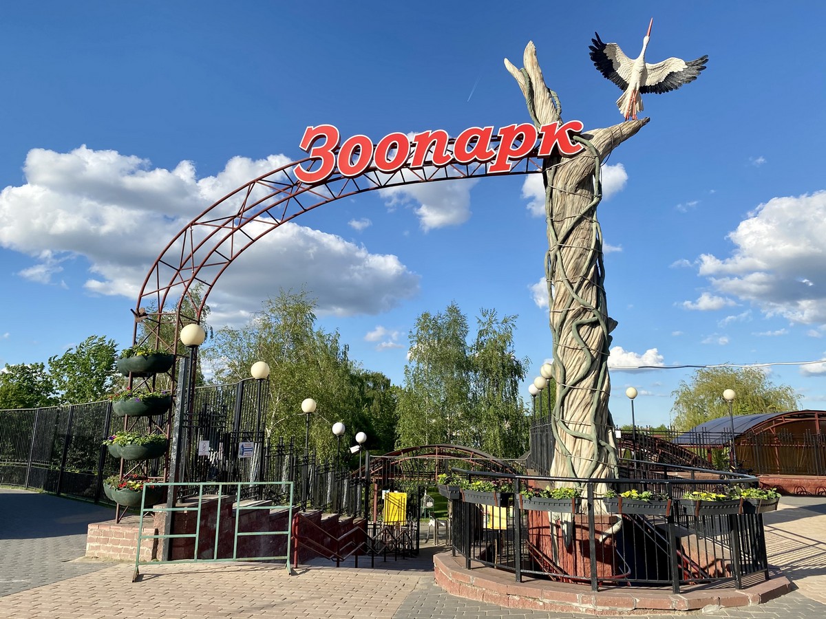 Минск zoo. Минский зоопарк Минск. Минский зоопарк Минск птицы.