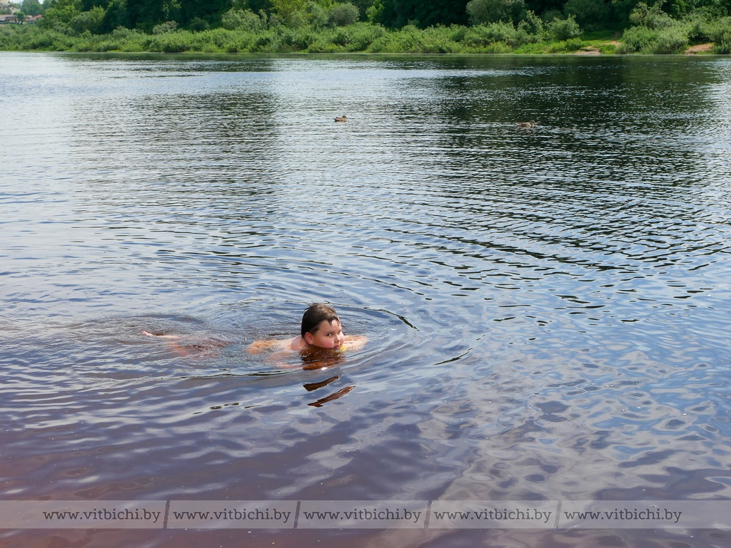 Знак раздора и в воду только по колено. Председатель Витебского городского  Совета депутатов Ольга Иванова проконтролировала готовность пляжей и мест  массового отдыха к купальному сезону