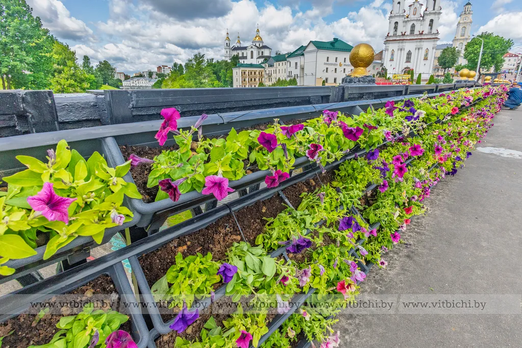 Октябрьский мост в Витебске 