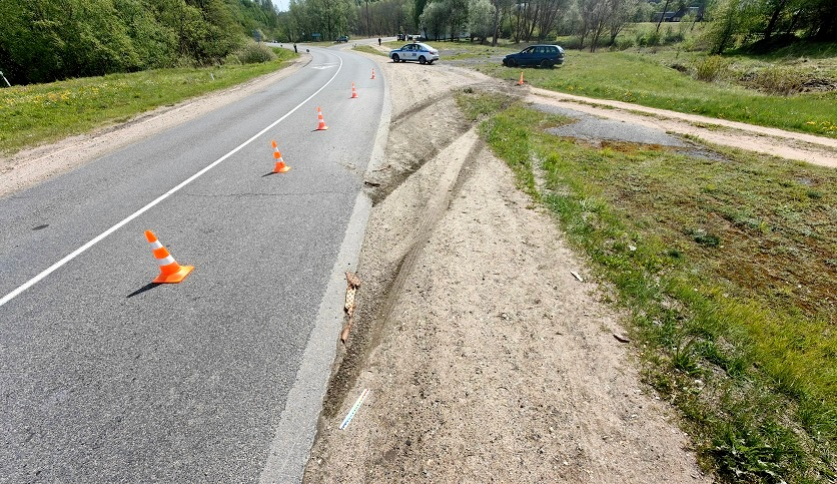 Следователи устанавливают очевидцев смертельного ДТП в Сенненском районе
