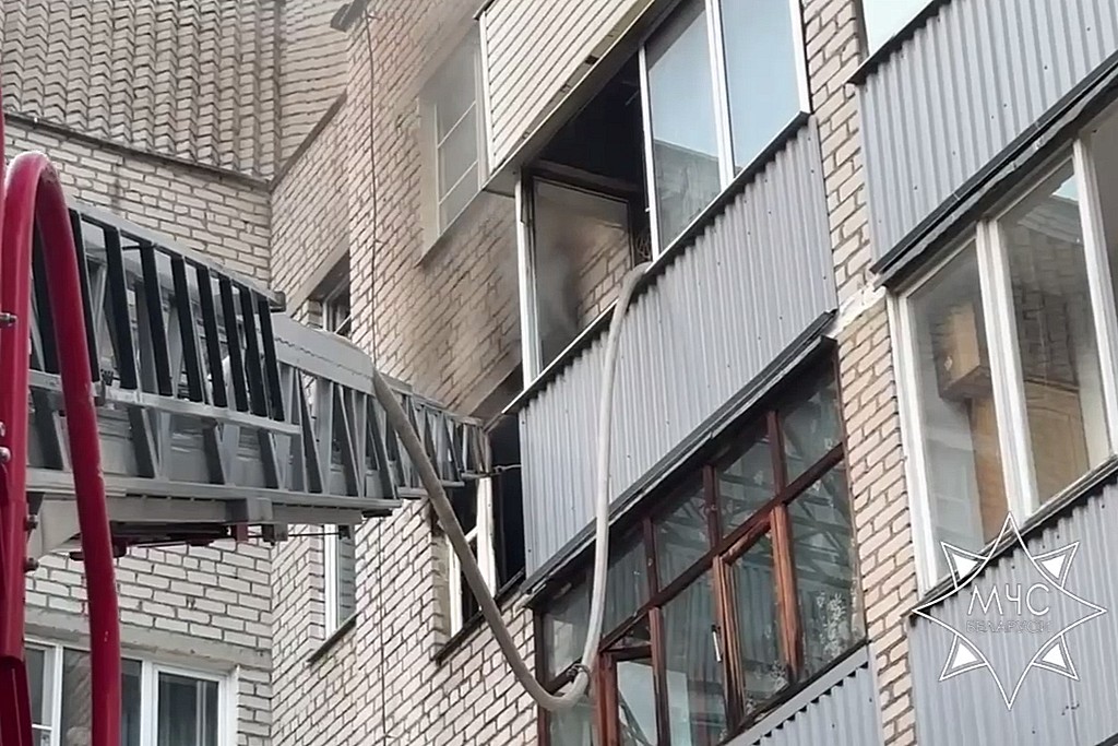 В Новополоцке спасатели эвакуировали людей и животных при пожаре в многоэтажке