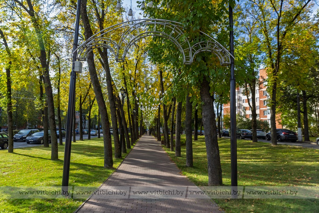 Ноябрьская погода в Витебске: солнце в отпуске, но по-прежнему не мерзнем