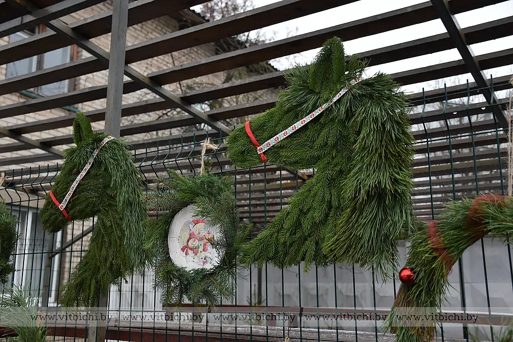 В Витебске открылись елочные базары