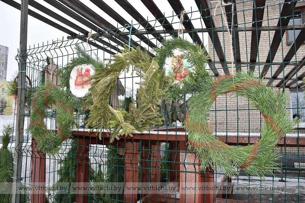 В Витебске открылись елочные базары