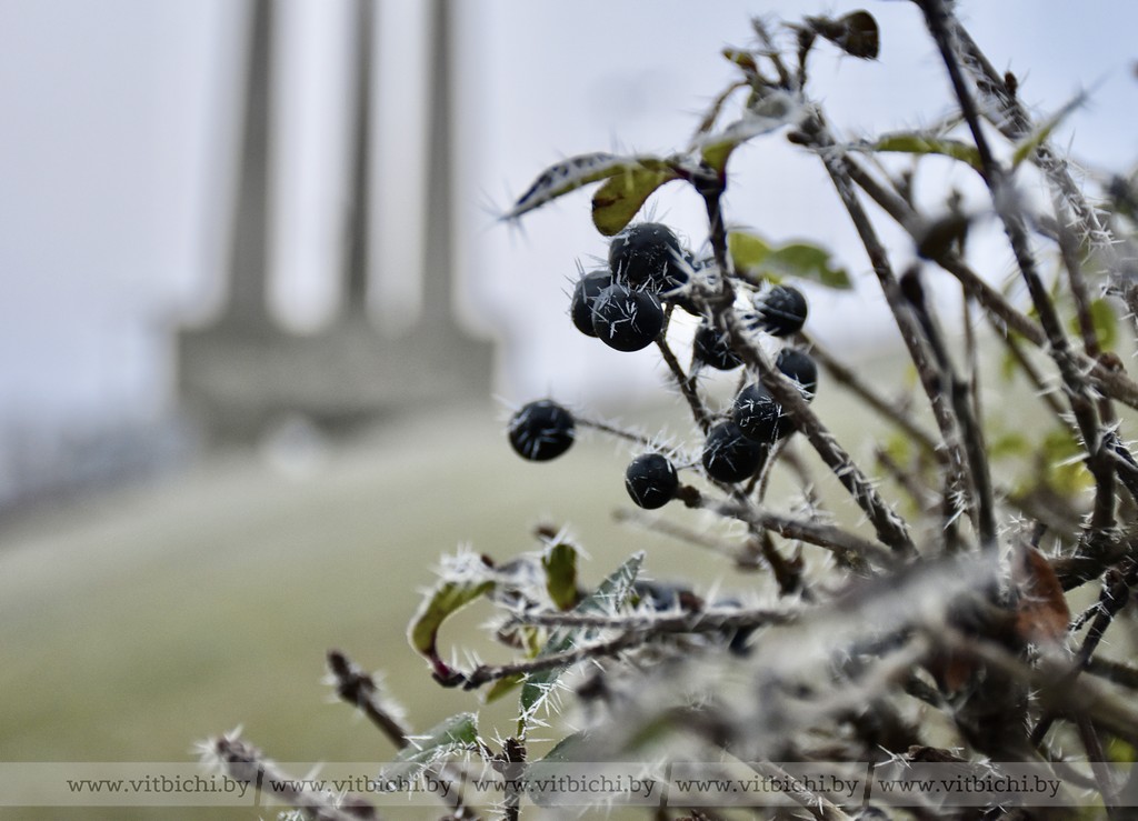 прогноз погоды в Витебске на 2 января