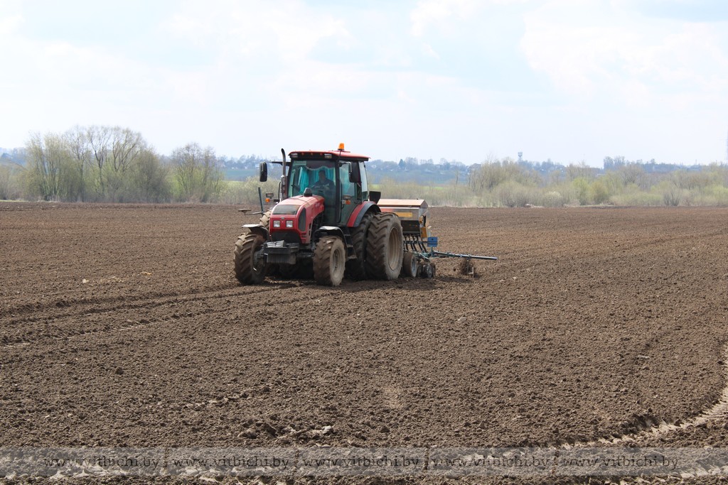 В Витебской области приступили к севу ранних яровых культур