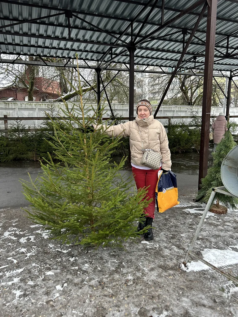 В Витебске открылись елочные базары
